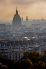 Fototapeta premium PARIS DEPUIS LA TOUR EIFFEL