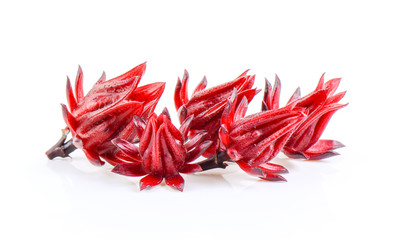 Roselle fruits, isolated on white