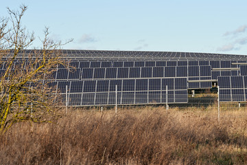 Fototapeta premium green energy. solar panel field in the winter sun behind a fence. alternate energy. photovoltaic, blue sky, germany 