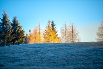 Win er landscape on the morning