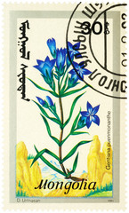 Flowers Gentiana pneumonanthe on postage stamp
