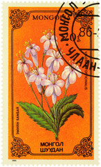 Valerian plant on postage stamp