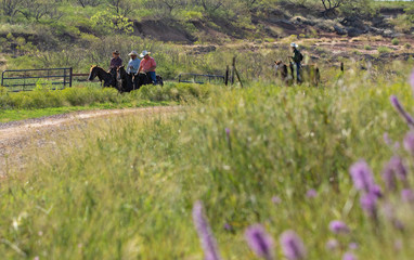 Obraz premium Group Of Cowboys