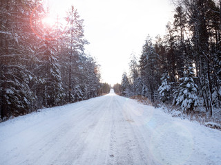 Snowy empty road in the middle of the forest, sun glare.