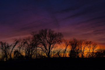 Fototapeta premium Sunset in Forest
