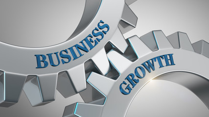 Business growth concept. Words business growth written on gear wheels.