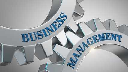 Business management concept. Words business management written on gear wheels.
