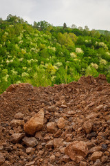 field of green with dirt road in foreground