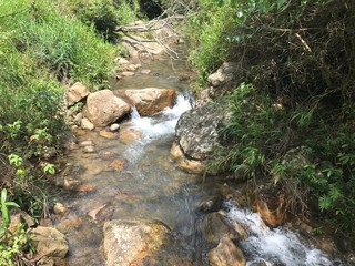 rios en la naturaleza