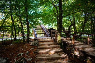 Obraz premium Autumn view in Plitvice, Croatia