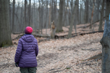 Woman hiking blue blaze trail in a hardwood forest in the winter.