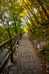 Autumn landscape in Plitvice Jezera, Croatia