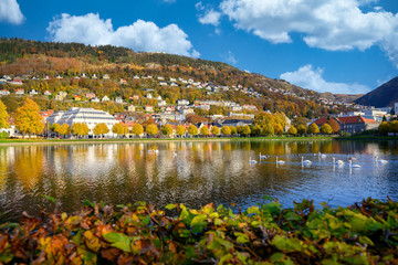 Fototapeta na wymiar Store Lungegårdsvannet in the afternoon and the clouds sky, mountains reflecting the water along with swans and ducks swimming at bergen city, Norway