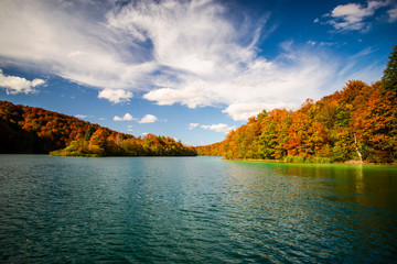 Autumn landscape near the lake
