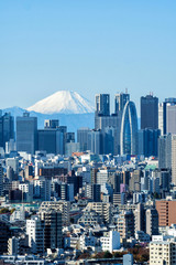 Fototapeta premium 新宿と富士山の風景