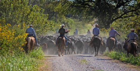 Texas Ranch Cowboys 