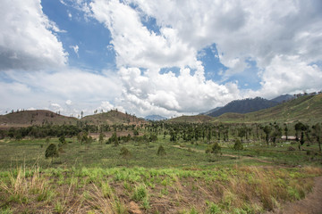 Bondowoso, East Java / Indonesia Savana Wurung Crater (Kawah Wurung) during the dry season, located in Curah Macan village, Bondowoso.