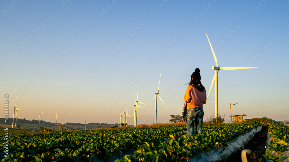 Wall mural one woman stands in the middle of a wide field have large wind turbines, which is an industry that p