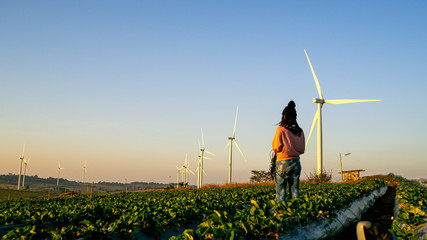 One woman stands in the middle of a wide field have large wind turbines, Which is an industry that...