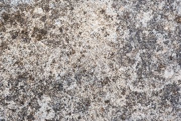 Cement  texture for  background and abstract