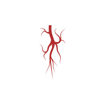 Veins Logo Template vector symbol