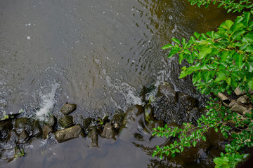 Water flowing in a river