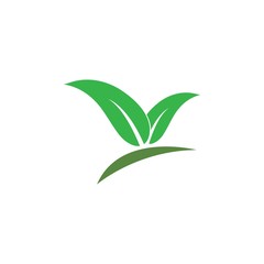 Green leaf logo