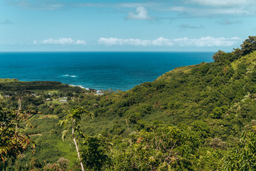 Fototapeta na wymiar lush tropical jungle panoramic view of the island clear blue water horizon and blue cloudy sky
