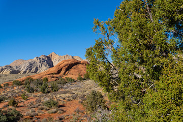 White rocks to the red rocks