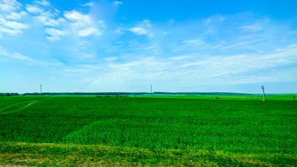 road and farm Brest City of Belarus © Mehmet KILIC