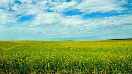 road and farm Brest City of Belarus