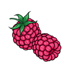 Beautiful cartoon pink raspberries with black contour, symbol of summer. design for holiday greeting card and invitation of seasonal summer holidays, beach parties, tourism and travel