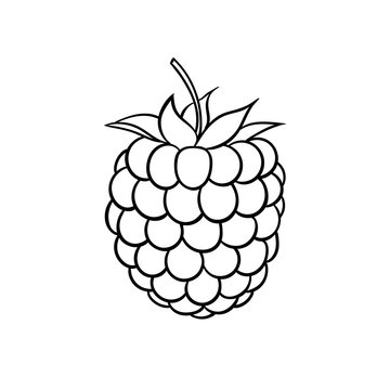 Beautiful cartoon black and white outline raspberry, symbol of summer. design for holiday greeting card and invitation of seasonal summer holidays, beach parties, tourism and travel