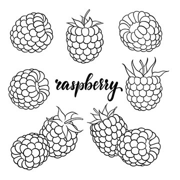 set of cartoon black and white outline raspberry, with lettering text raspberry. design for holiday greeting card and invitation of seasonal summer holidays, beach parties, tourism and travel