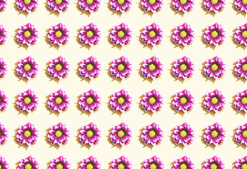 Purple flowers on a white background in a repetitive fashion