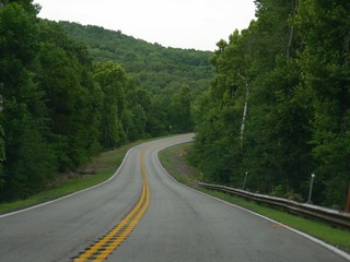 Scenic winding road in the countryside, with lush forests in the spring