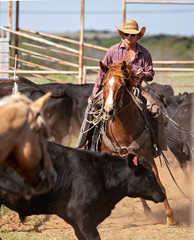 Working Cowboy