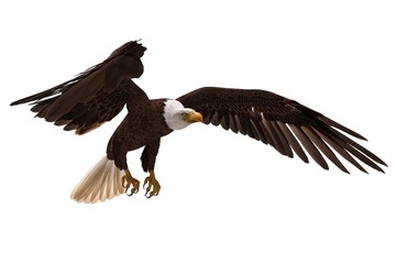 Bald eagle flying isolated on white 3d illustration