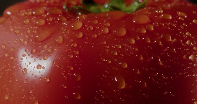 Closeup shot of a farm fresh Beefsteak Tomato. Shot in 4K RAW on a cinema camera.