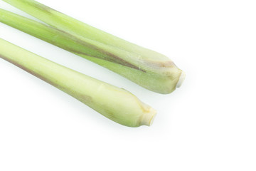 bundle lemon grass on white background.
