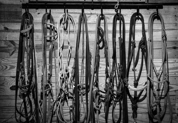 Horse Tack Room B&W