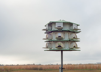 Bird Condo - Close-Up