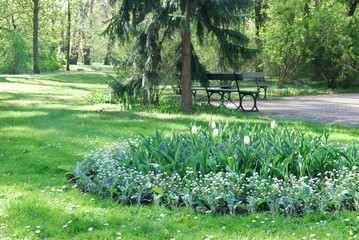 Łazienki Królewskie - Łazienki Park