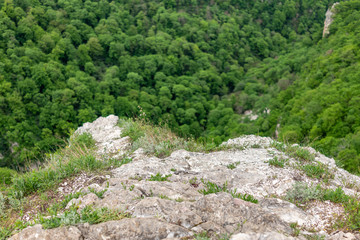 Fototapeta na wymiar Stone rock on a background of green forest below.