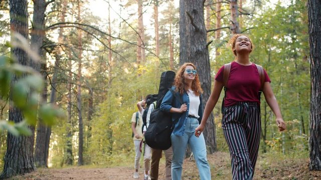 Slow motion of happy multiracial students female and male travelling in forest walking smiling relaxing together. Summer nature, relaxation and wood concept.