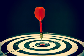 Red dart arrow hitting in the center of bullseye for Business focus concept.