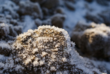 Crystals of frost on the stones before Christmas