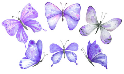Fototapeta na wymiar Set of watercolor purple butterflies.