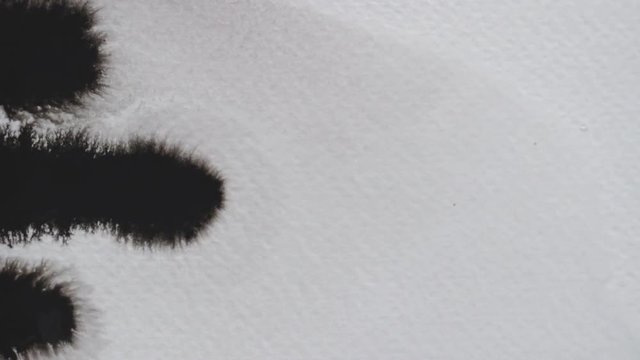 Close up of huge black ink shape splotch and lines dropping and seeping on textured white creative paper. Overlay effect.