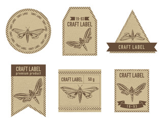 Craft labels vintage design with illustration of ambulyx pryeri, theretra oldenlandiae